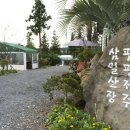 팜핑제주 이미지