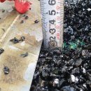 정원초등학교병설유치원 이미지