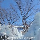 경남관광안내소(창원중앙역) | 김해 근교 경남 눈썰매장 | 밀양얼음골폭포관광농원 후기 및 준비물