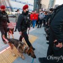 [오마이포토] 거리응원에 투입되는 경찰특공대와 폭발물탐지견 이미지