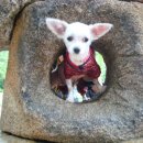 성은세탁소 이미지