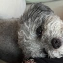 경희마루한의원 이미지