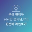 메디팜꿀벌약국 이미지