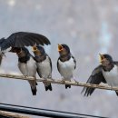 노을해안로 이미지