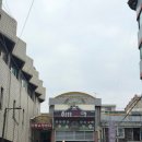 달빛 햄스터리 이미지