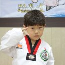성우태권도장 이미지