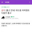위드몽 | 캠린이_FLEX 도킹텐트 구입기☆ 위드몽 차박텐트 vs 미르카 카투 고민 오백번하기🤔