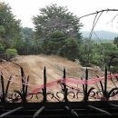 내곡동-3 이미지