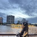 원더풀3 | 방콕 여행 3일차 🚂매끌렁 기찻길 &amp; 🚤원더풀펄 크루즈 디너 후기🍽️