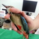 임수의과병원 이미지