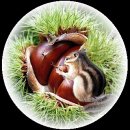 동대문노인종합복지관 이미지