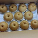 하북한사랑의원 이미지