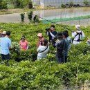 아리랑식품영농조합법인 이미지