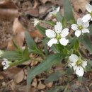 단전호흡과 명상 이미지