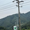 그리니그린(greenygreen)