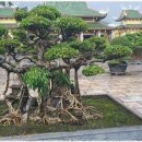 다온여행사 이미지