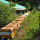 숲깊은 농장 이미지