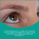 신세계성형외과의원 이미지