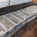 월명농장 이미지