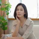 다나크리에이티브이엔티 뉴스엔