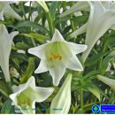 우리타워 이미지