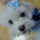 안녕하세요 이미지