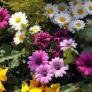 어린이대공원-1 이미지