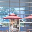 메종드마마카페 이미지