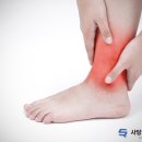 생활양재 이미지