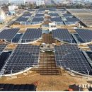 초석태양광발전소 이미지