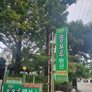솔모루펜션 - 34777 | 태안 어은돌 해수욕장 오션뷰를 품은 캠핑장과 펜션이 있는 솔모루 펜션 후기