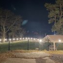 보령애견동반펜션 피노비스타 이미지