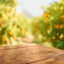 에코환경 이미지