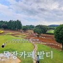 제일목장 | 성산승마 제주이색카페 추천 | 목장카페 밭디 후기