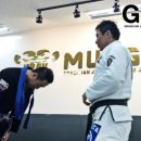 그리즐리2017 Daum카페