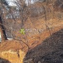 효령로67길 64 (1) 이미지