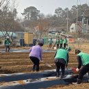 탄현면새마을부녀회 이미지