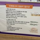 김선화 S.P 스파