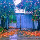 우림세탁소 이미지