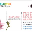 웨딩프라자파라곤