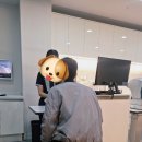 돈골대가 이미지