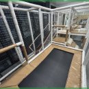 여진 닭한마리 이미지