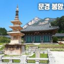 더탑비전 네이버블로그