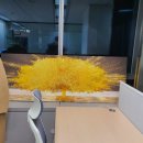 (주)스윙크 네이버블로그