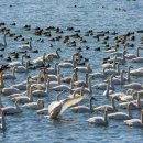 황산공원 파크골프장 이미지