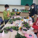 용머리초등학교 이미지