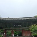 경주~포항~부산 2박3일 자전거 라이딩 이미지