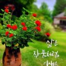내 고향 강원도ᆢ 이미지