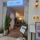 플러버 (flubber) 이미지