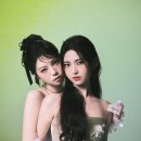 도드리 카카오 검색결과